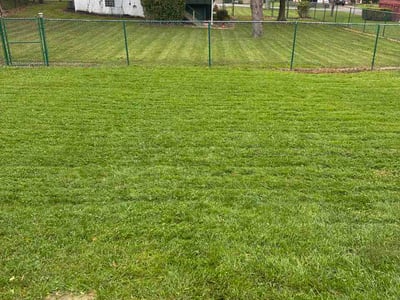 Lawn Care service in Bethel Park, 15102
