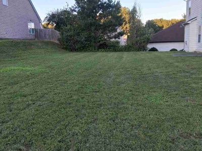 Lawn Care service in College Park, 30337