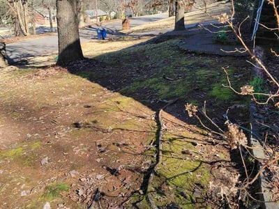 Lawn Care service in Birmingham, 35203