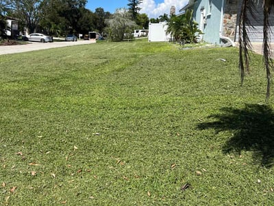Lawn Care service in Norwood, 02062