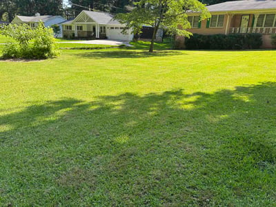 Lawn Care service in Powder Springs, 30127