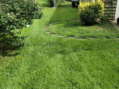 Lawn Care service in Snellville, 30078