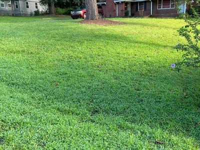 Lawn Care service in Brookhaven, 30319
