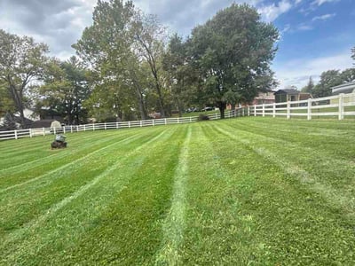 Lawn Care service in Ambler, 19002