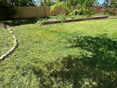 Lawn Care service in Tempe, 85281