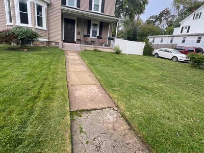 Lawn Care service in Ambler, 19002