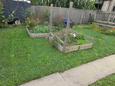 Lawn Care service in Burlington, 01803