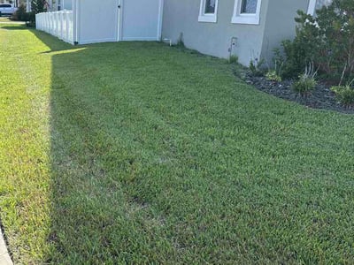 Lawn Care service in Burlington, 01803