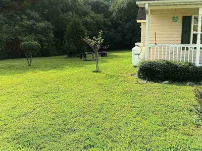 Lawn Care service in Leland, 28451