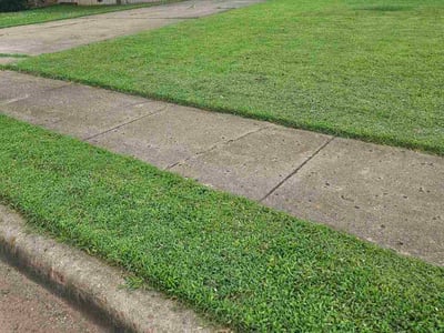 Lawn Care service in Harvest, 35749