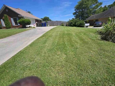 Lawn Care service in Harvest, 35749