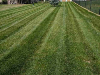 Lawn Care service in Iowa City, 52240