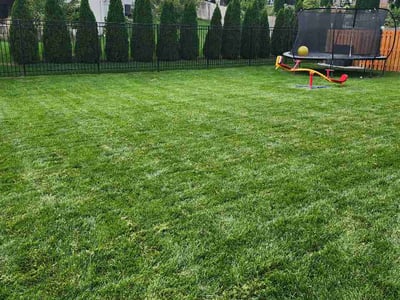 Lawn Care service in Elkhorn, 68022