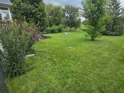 Lawn Care service in Iowa City, 52240