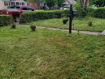 Lawn Care service in Stoughton, 02072