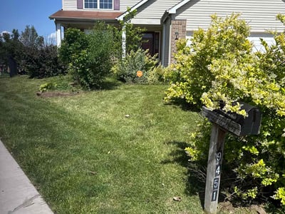 Lawn Care service in Jennings, 63136