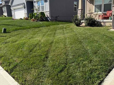 Lawn Care service in Lawson, 64062