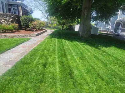 Lawn Care service in Bellingham, 02019