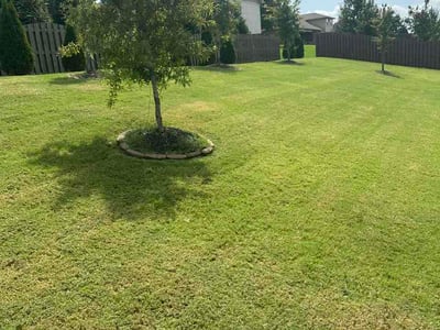 Lawn Care service in Hazel Green, 35750