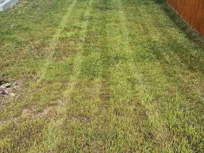 Lawn Care service in Lawson, 64062