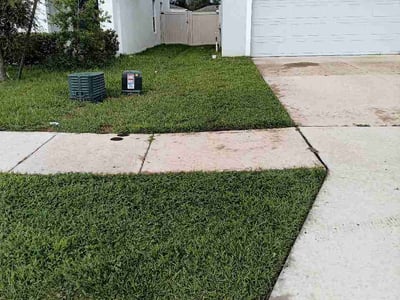 Lawn Care service in Zephyrhills, 33542