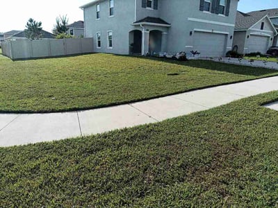 Lawn Care service in Zephyrhills, 33542