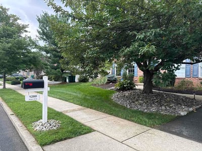 Lawn Care service in Lehigh Valley, 18103