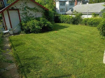 Lawn Care service in Festus, 63028