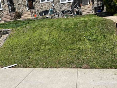 Lawn Care service in Upper Darby, 19082