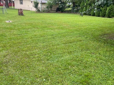 Lawn Care service in Rocky Mount, 27801