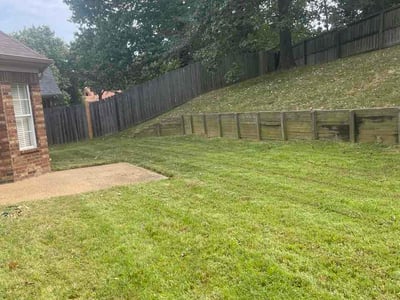 Lawn Care service in Covington, 38019