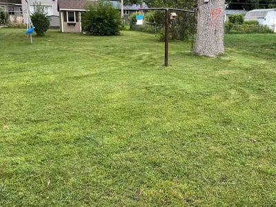 Lawn Care service in Monticello, 55362