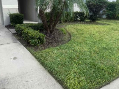 Lawn Care service in Winter Haven, 33881