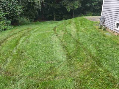 Lawn Care service in Glastonbury, 06033