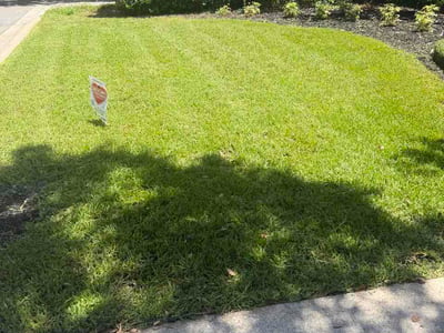 Lawn Care service in Wellington, 33414