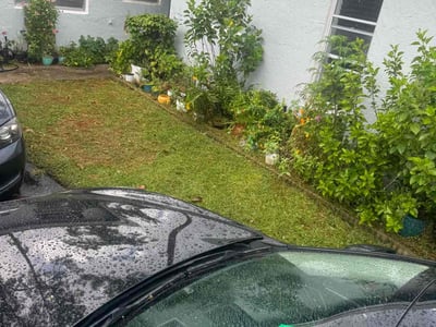 Lawn Care service in Wellington, 33414