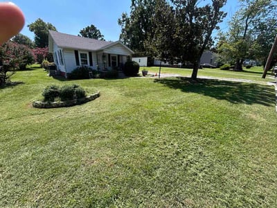 Lawn Care service in Mebane, 27302