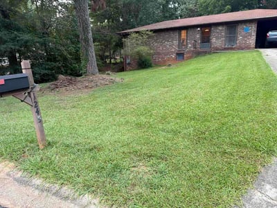 Lawn Care service in Austell, 30168