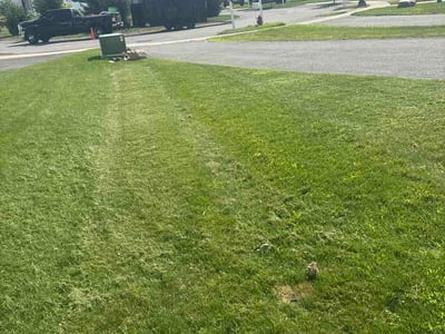 Lawn Care service in Saratoga Springs, 12866