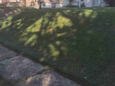Lawn Care service in Roeland Park, 65401