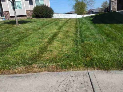 Lawn Care service in Papillion, 68046