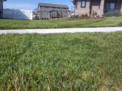 Lawn Care service in Papillion, 68046