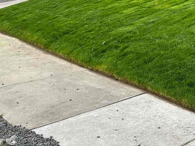 Lawn Care service in Roeland Park, 65401