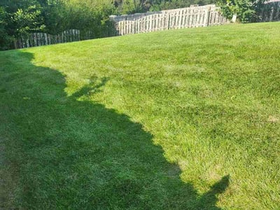 Lawn Care service in Bountiful, 84010