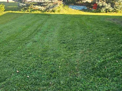 Lawn Care service in West Bend, 53095