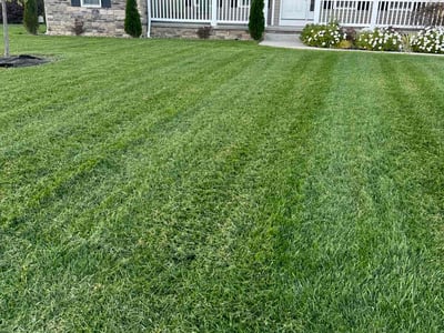Lawn Care service in Cuyahoga Falls, 44221
