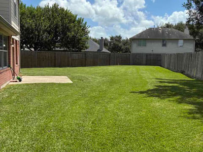 Lawn Care service in Donna, 78537