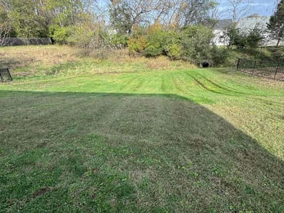 Lawn Care service in Madison, 37115