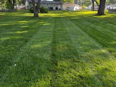 Lawn Care service in Arnold, 63010