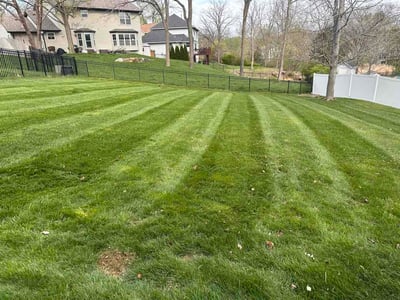 Lawn Care service in Arnold, 63010